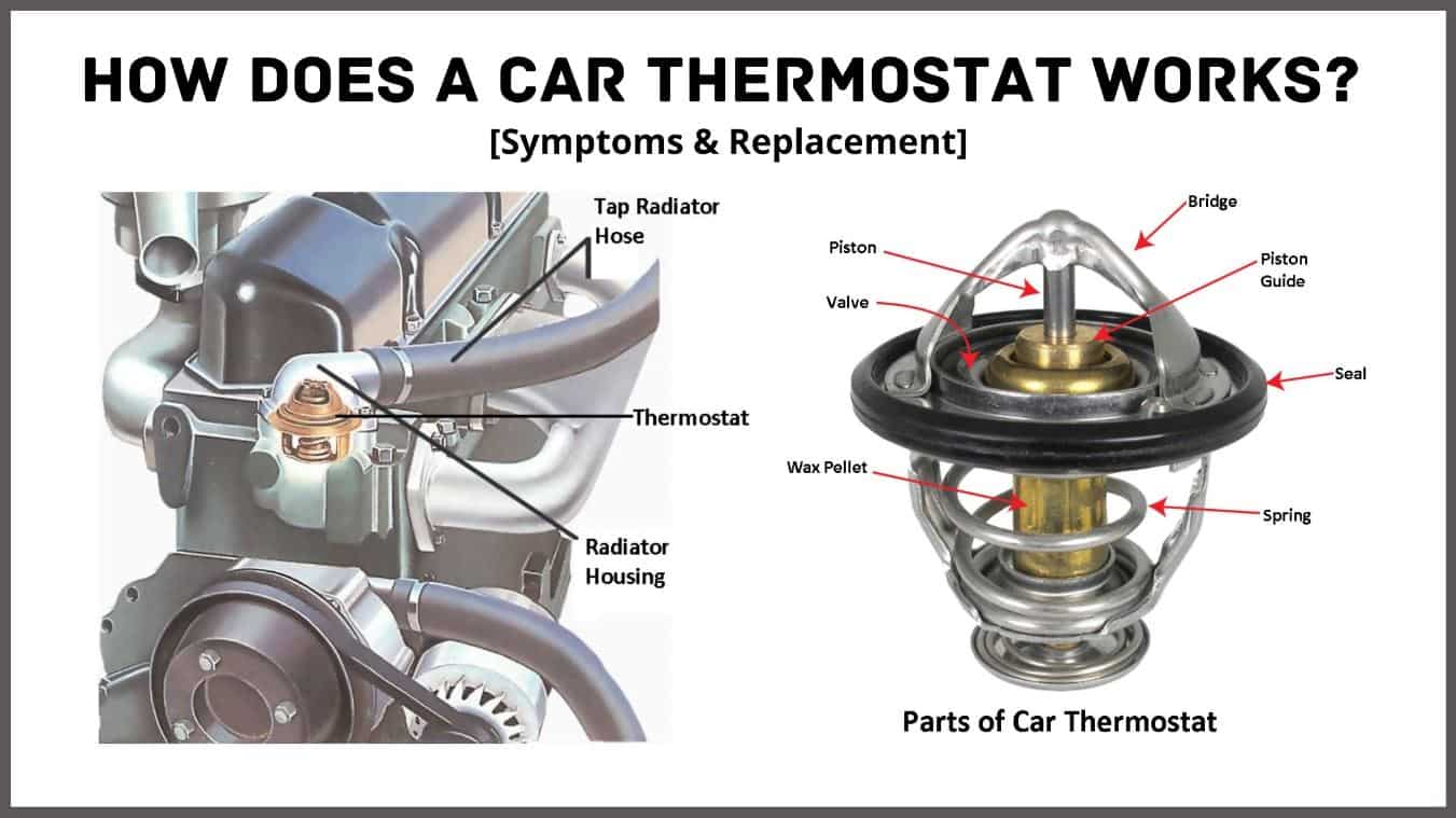 How A Car Thermostat Works? Its Symptoms & Replacement